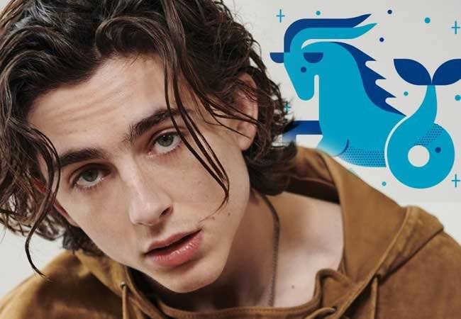 timothee chalamet