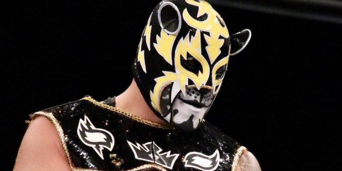 puma king luchador