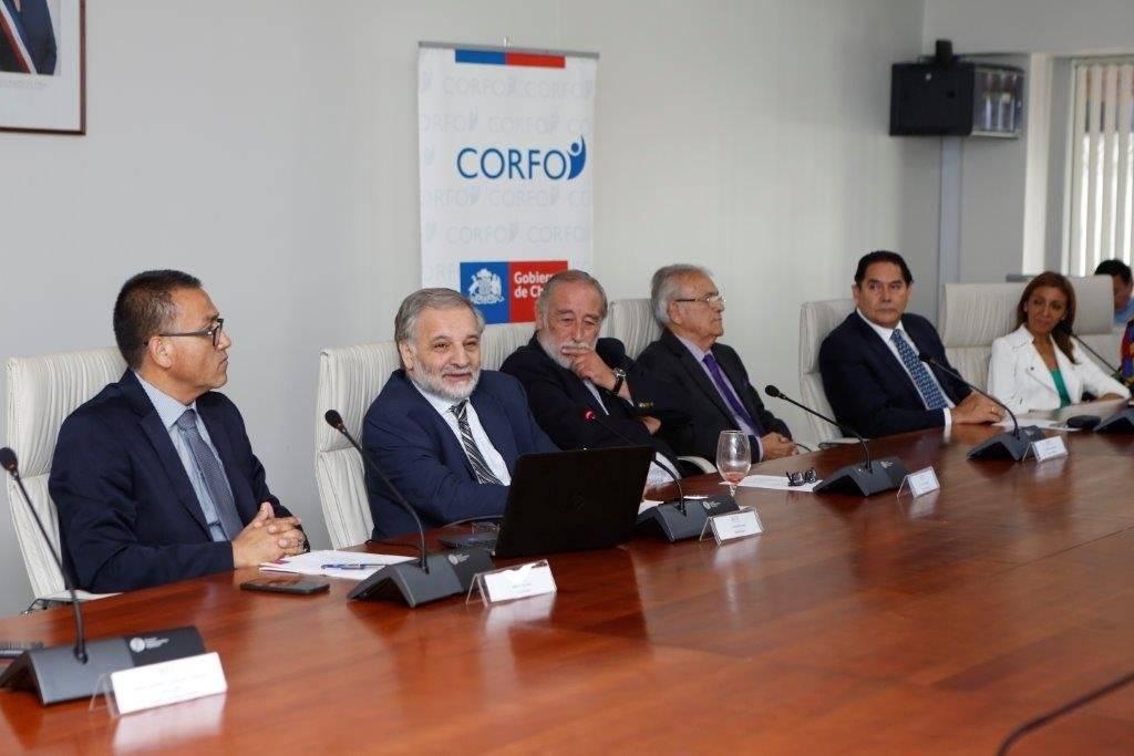 Proyecto reforestación