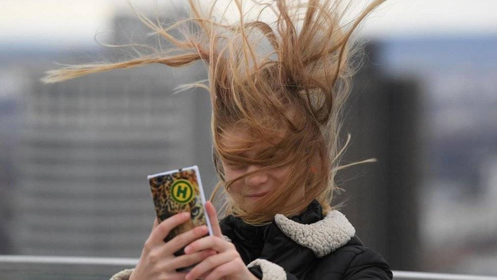 celular