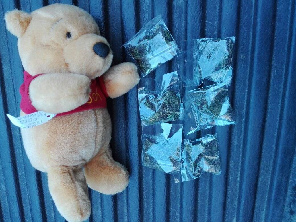 Escondía marihuana entre un osito de peluche Winnie Pooh Carlos Raúl Díaz Meléndez