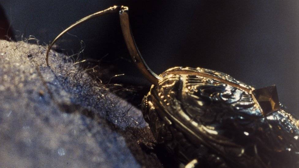 100230925cronosunoimcine976x549-4f5a3517ce08adbfc1b79e7f4c852d88.jpg