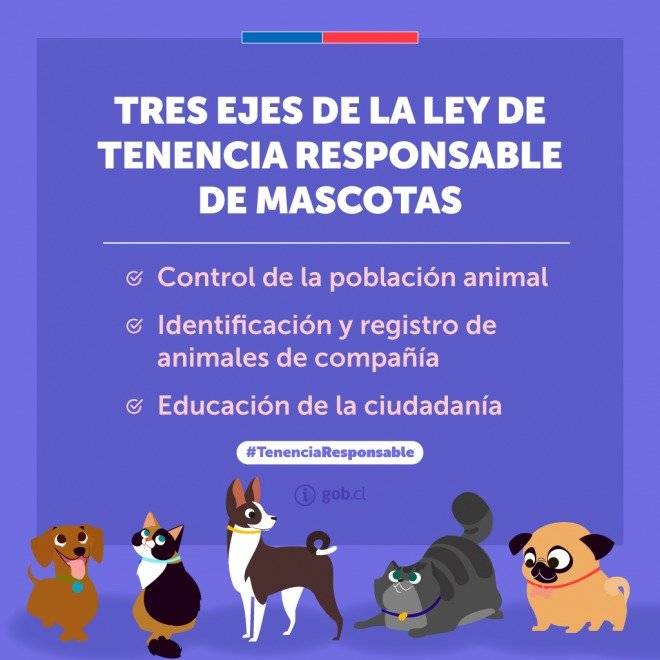 170718leydeteneciaresponsable1024x1024660x660.jpg