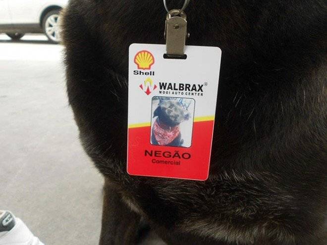 abandoneddoggasstationemployeenegaobrazil2660x550.jpg