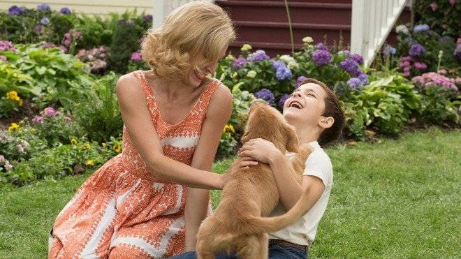 adogspurposegallery02660x550.jpg