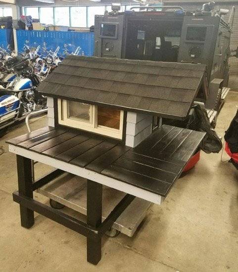 copsbuildstrayswatcatcondo2660x550.jpg