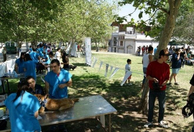 desparasitacic3b3n1660x550.jpg