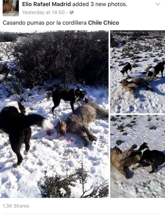 detvwbuxkaafvko700x920.jpg