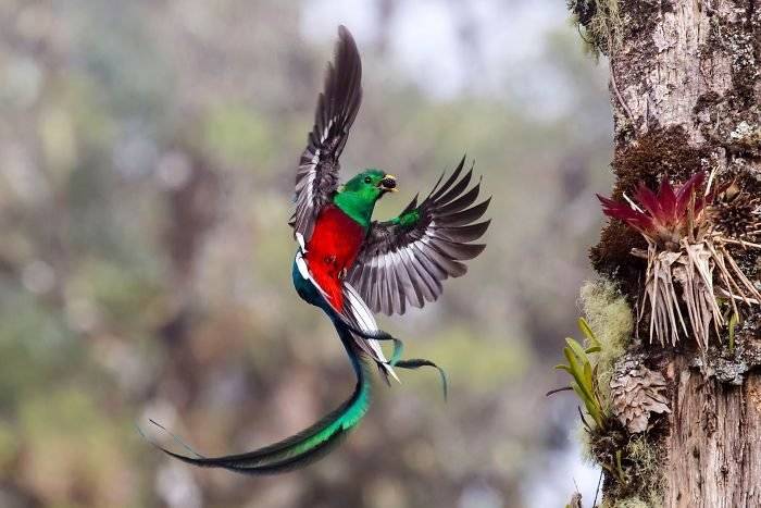 finalistswildlifephotographeroftheyear2017359ba295d19842700700x467.jpg
