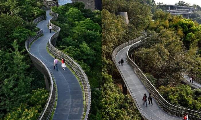 fuzhouforestwalkwaybylookarchitects1511020x610700x419.jpg