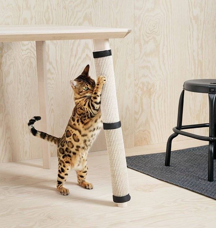 ikeacatsdogscollectionlurvig659db1b0751b8b700700x737.jpg