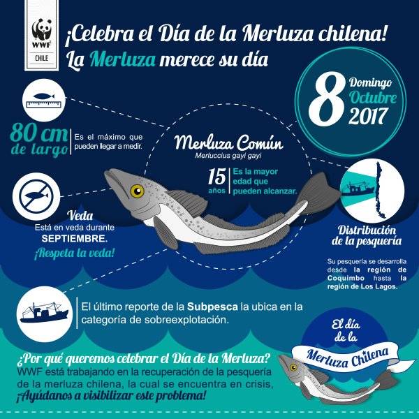 infografc3ada12septiembre.jpg
