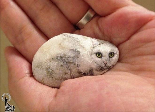 iwanttopaintthelifethelivingspiritofthebeingifeelinsidethestone58aaaa51da98d700660x550.jpg