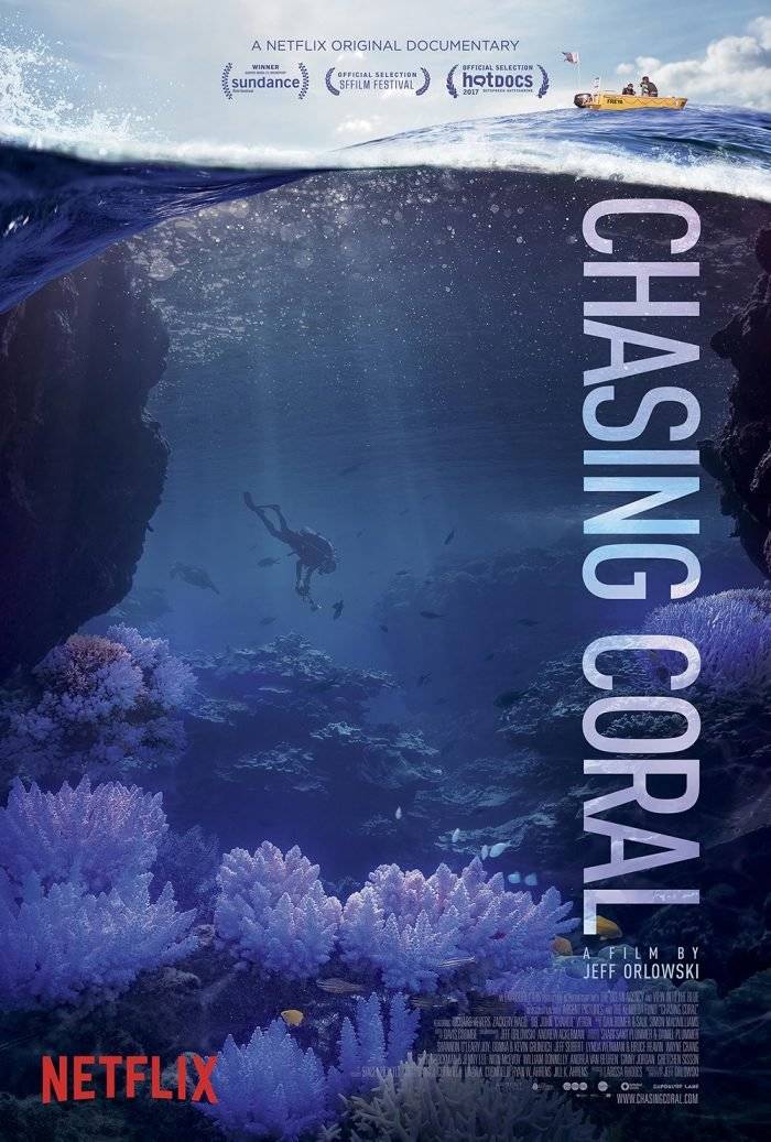latestwebnetflixposter700x1037.jpg