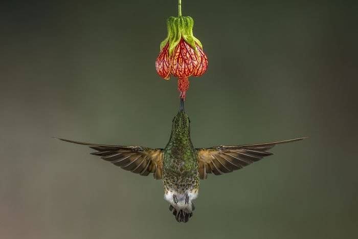 nationalgeographictravelphotographeroftheyear2017winners85982efeaa8c1b700700x467.jpg