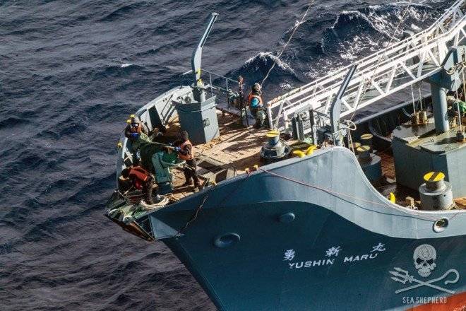 news1701151320170115glsihelispotsnisshinmaruand2harpoonships03gnl36311000w660x550.jpg