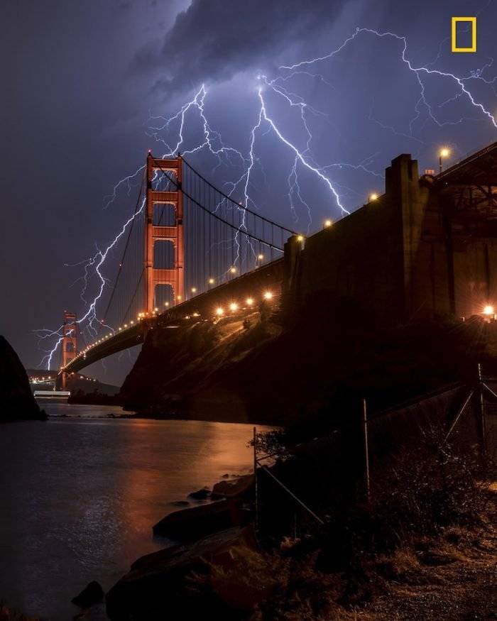ngnaturephotographercontest2017prodyourshot017700x875.jpg