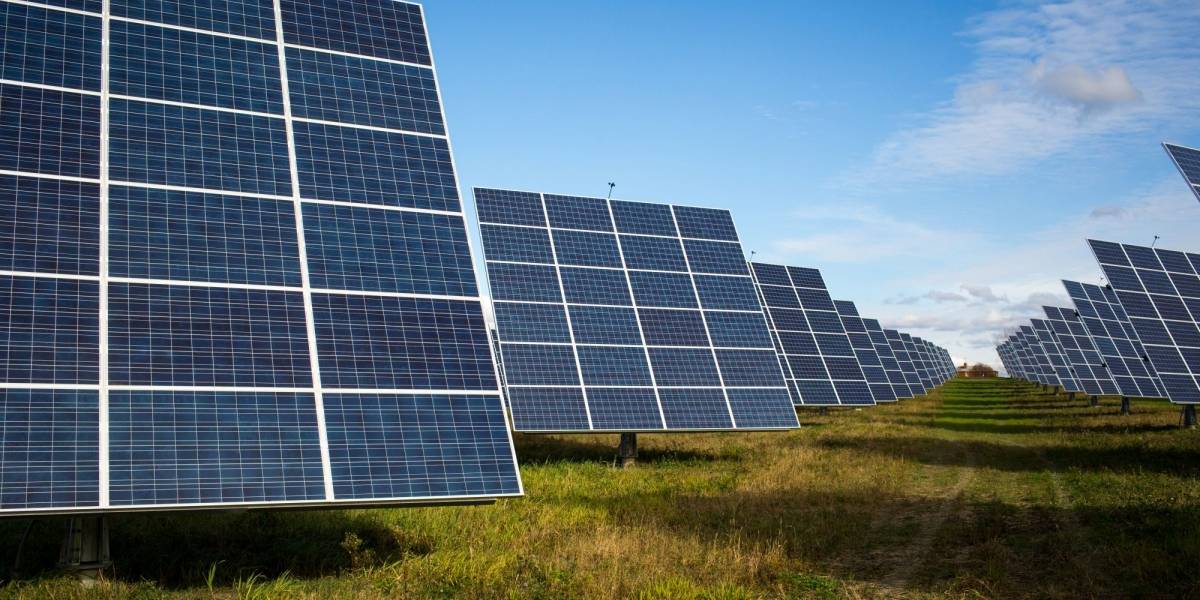 Presidenta de Schneider Electric: "Latinoamérica no tiene cultura de ahorrar energía"