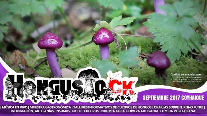 portadaeventocortinarius1200x653700x393.jpg
