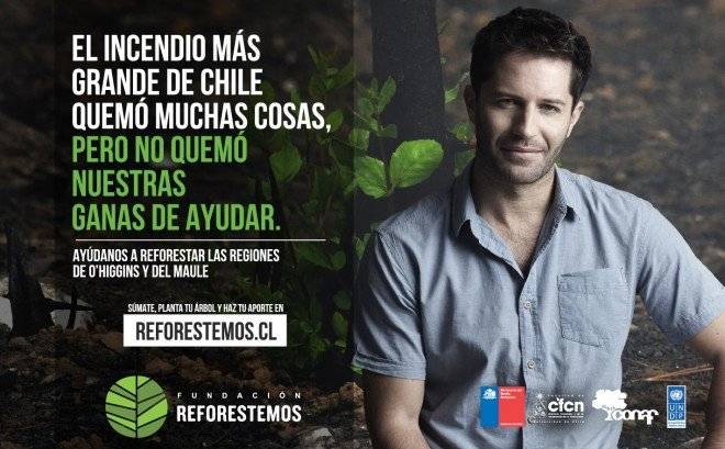 reforestemosarriagada660x550.jpg