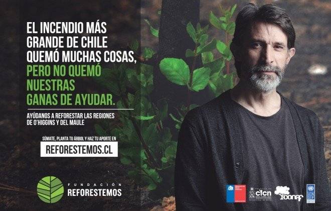 reforestemosmelo660x550.jpg