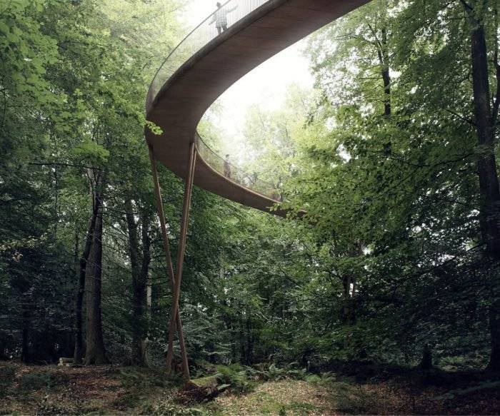 spiralingtreetopwalkwayeffektdenmark59cb526a71432880700x583.jpg