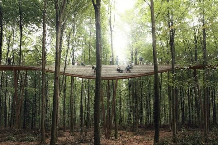 spiralingtreetopwalkwayeffektdenmark59cb527b16e17880700x467.jpg