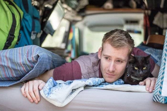 travelingwithcatsricheast1700x467.jpg