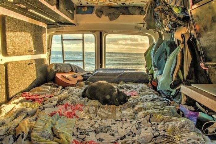 travelingwithcatsricheast3700x468.jpg