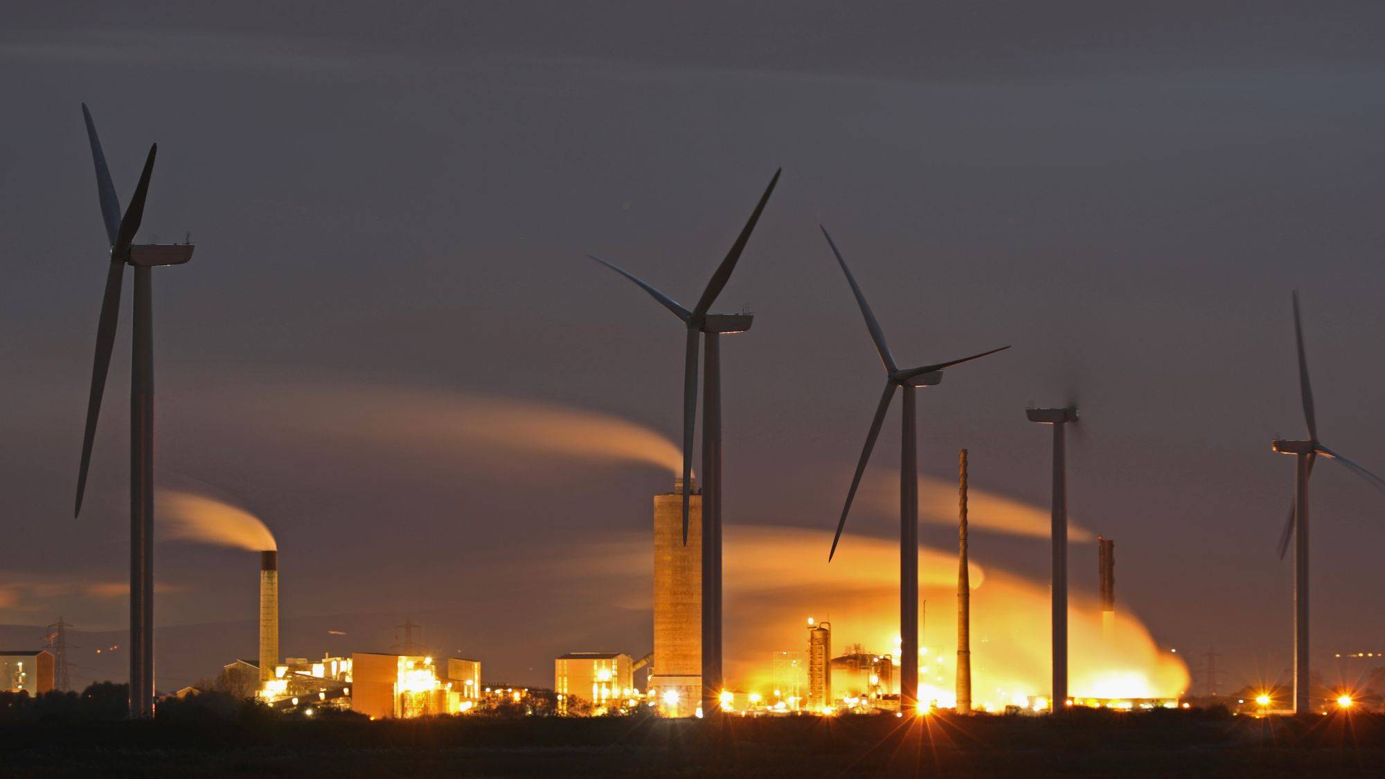 Planta de viento