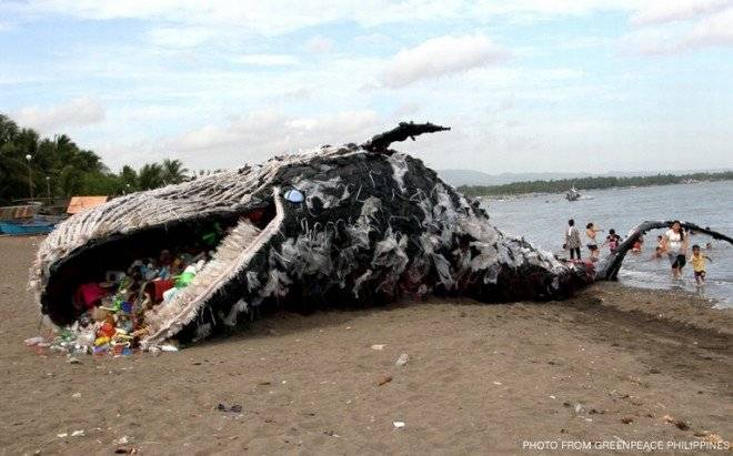 whalereplicagreenpeace1cnnph660x550.jpg
