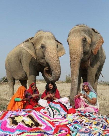 wildlifesoselepantsweaters2660x550.jpg