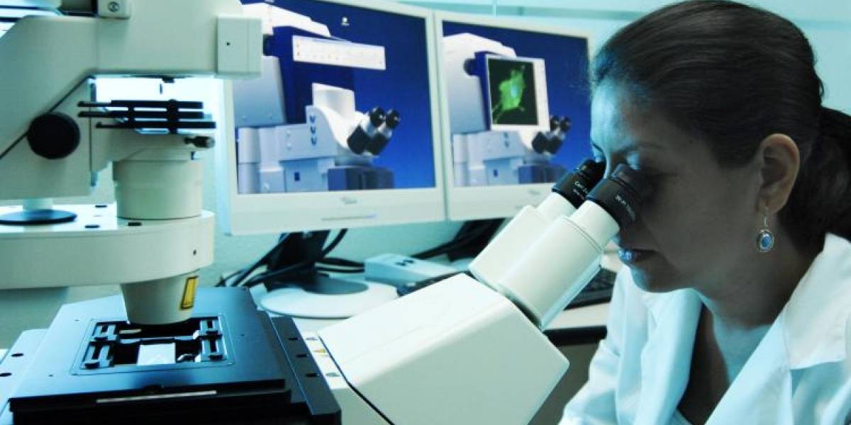 Senado dificulta aprobación de Ministerio de Ciencia y Tecnología y lo hace pasar a Comisión Mixta