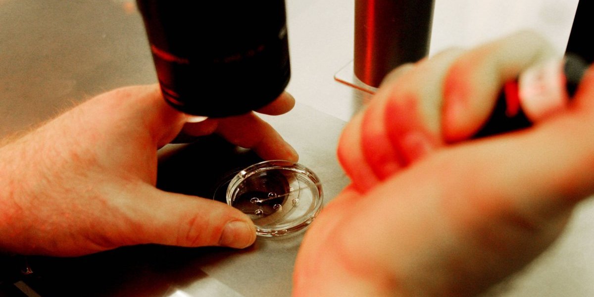 Hospital de Cleveland pudo haber dañado más de 2.000 huevos y embriones para fertilización