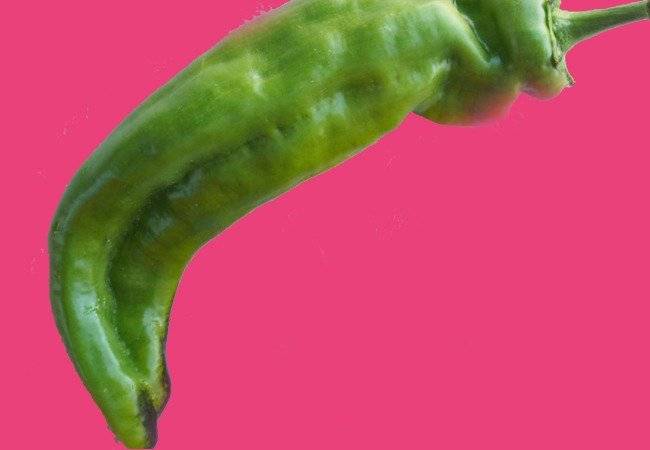 Formas de pene