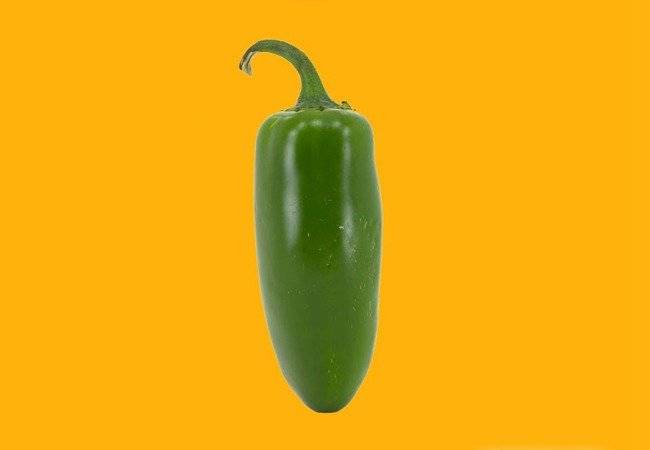Formas de pene