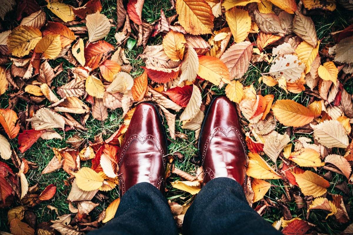 otoño