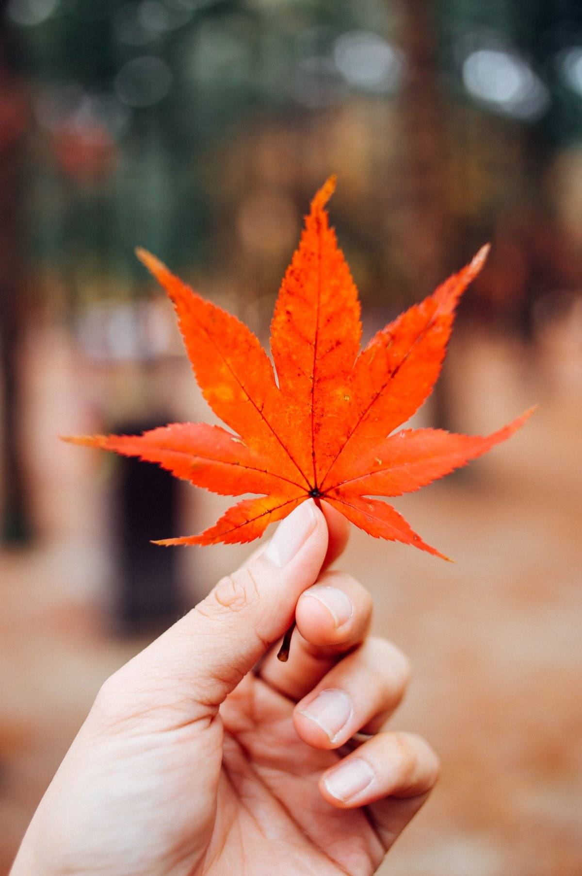 otoño