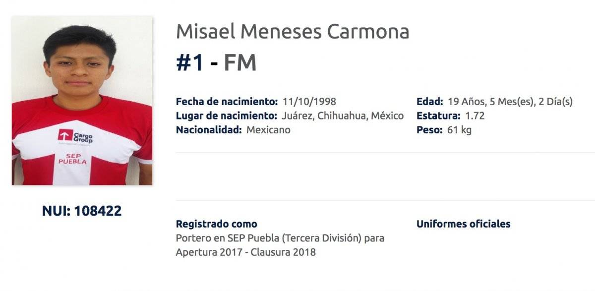 MISAEL MENESES