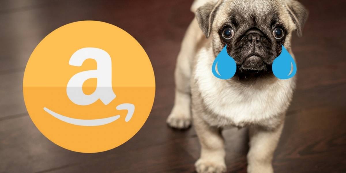 Repartidor de Amazon dejó caer paquete sobre un cachorro y fue despedido