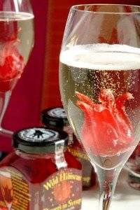 wildpartyweb2200x300.jpg