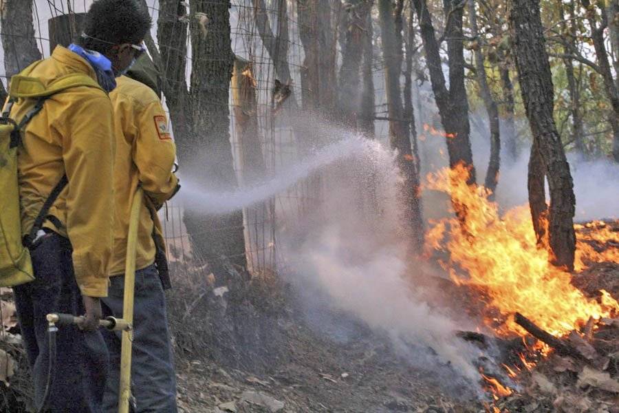 Dos zonas concentran 60% de los incendios forestales en La Primavera
