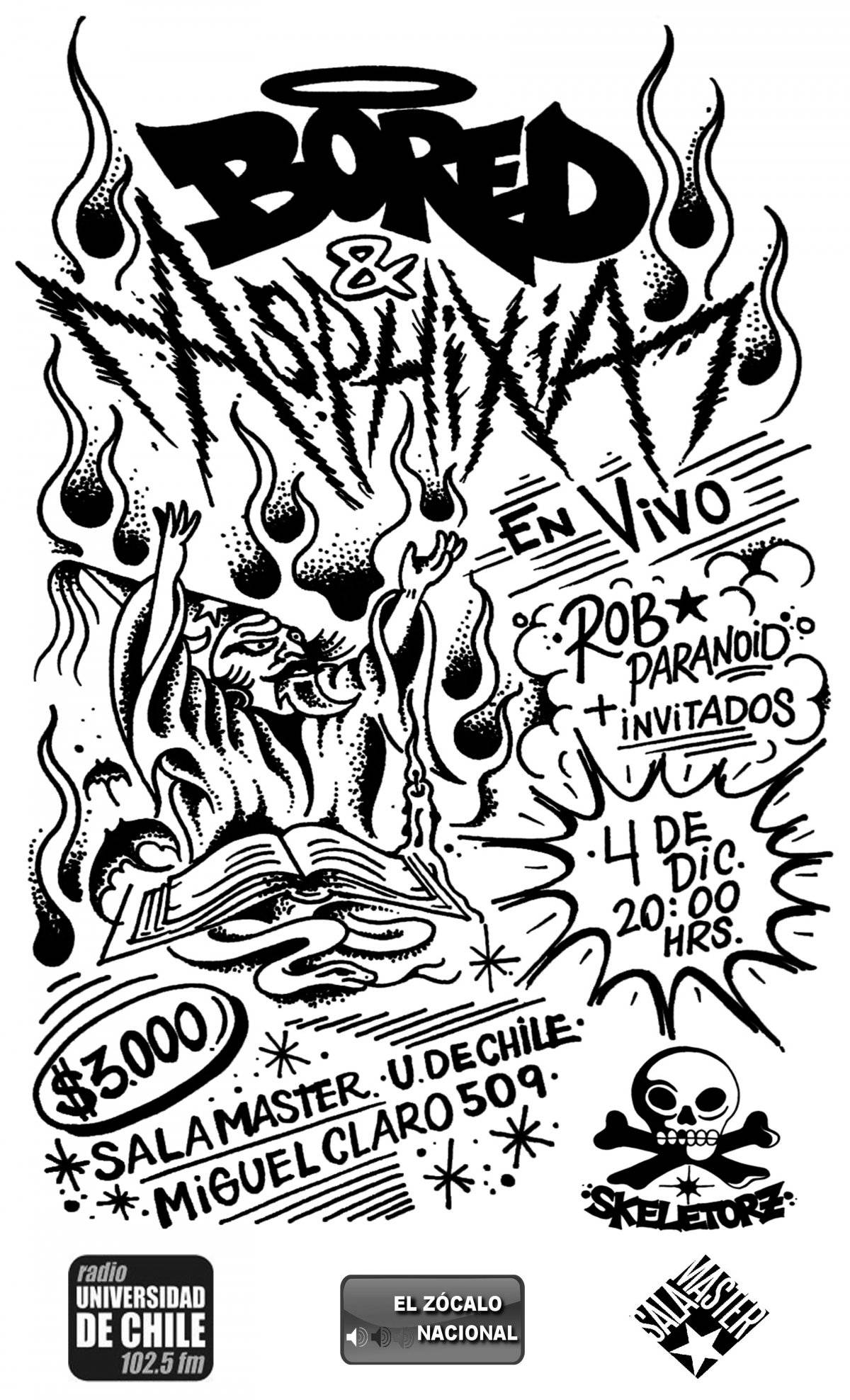 flyerrobparanoid4dediciembresalamaster.jpg