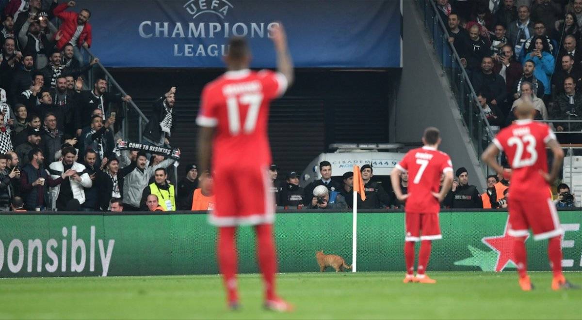 Foto: AFP