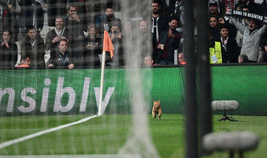 Foto: AFP