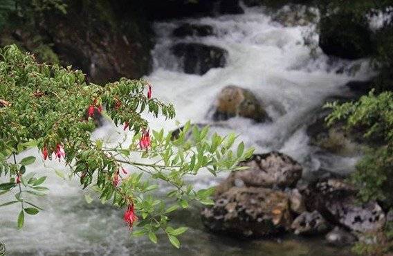 Aguas