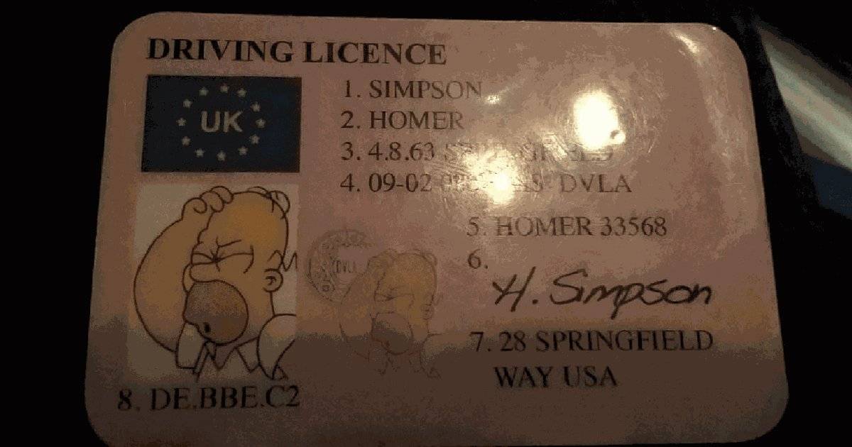 carteira habilitação homer simpson