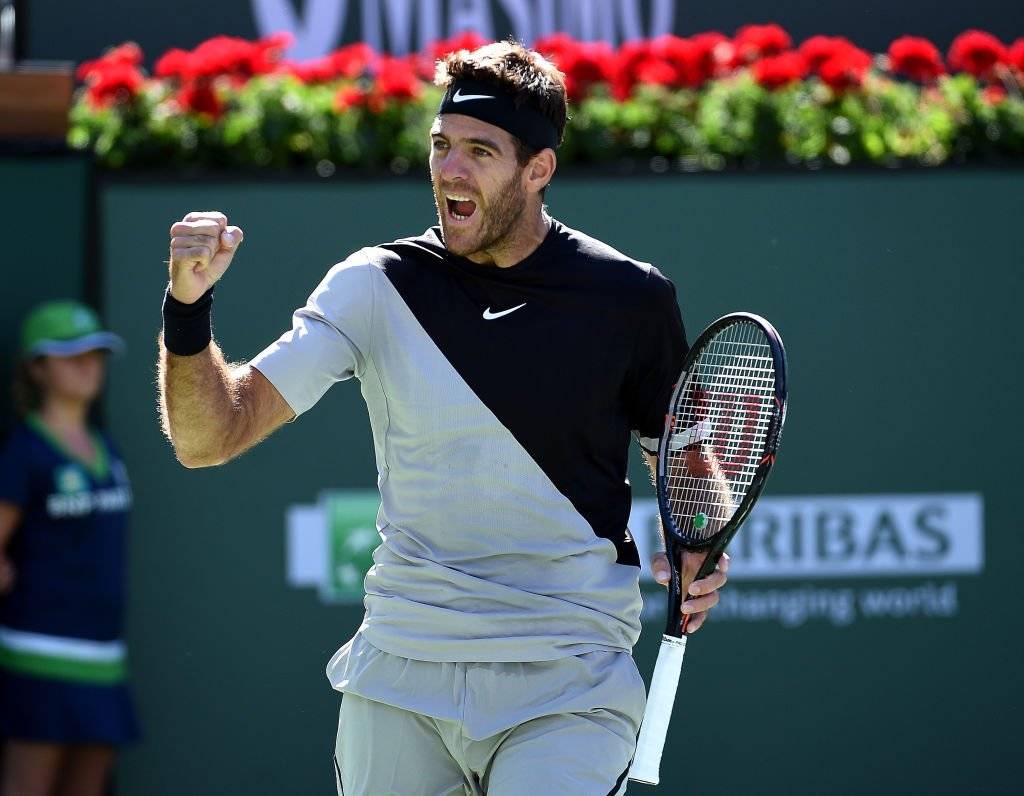 Del Potro tuvo una sólida presentación ante Raonic / Foto: Getty Images