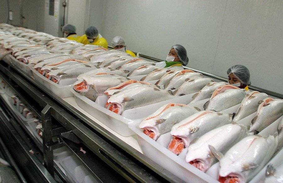 Salmón chileno