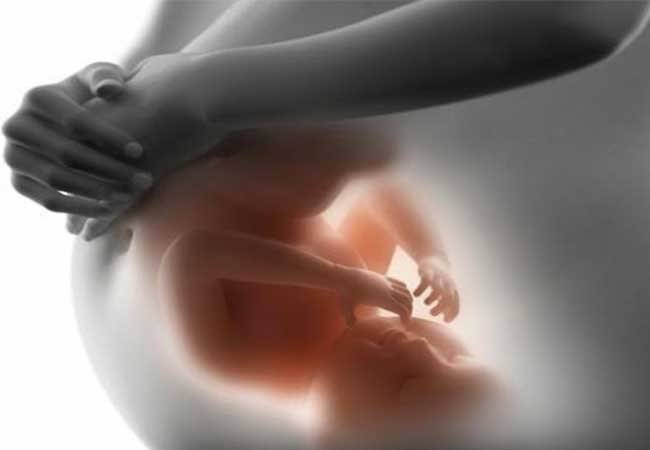 lenguaje bebe